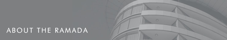 About the Nautilus